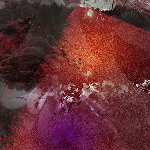 Meet your Posher, Lynne